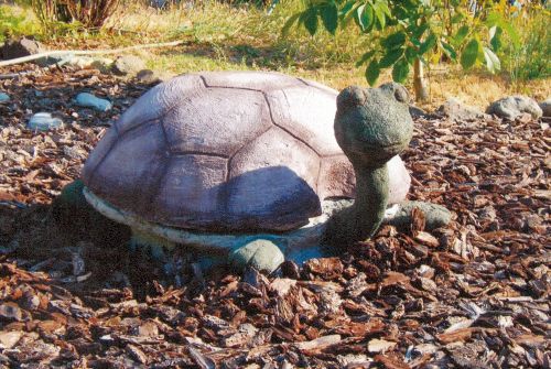 Marilyn Bokor's Garden Turtle